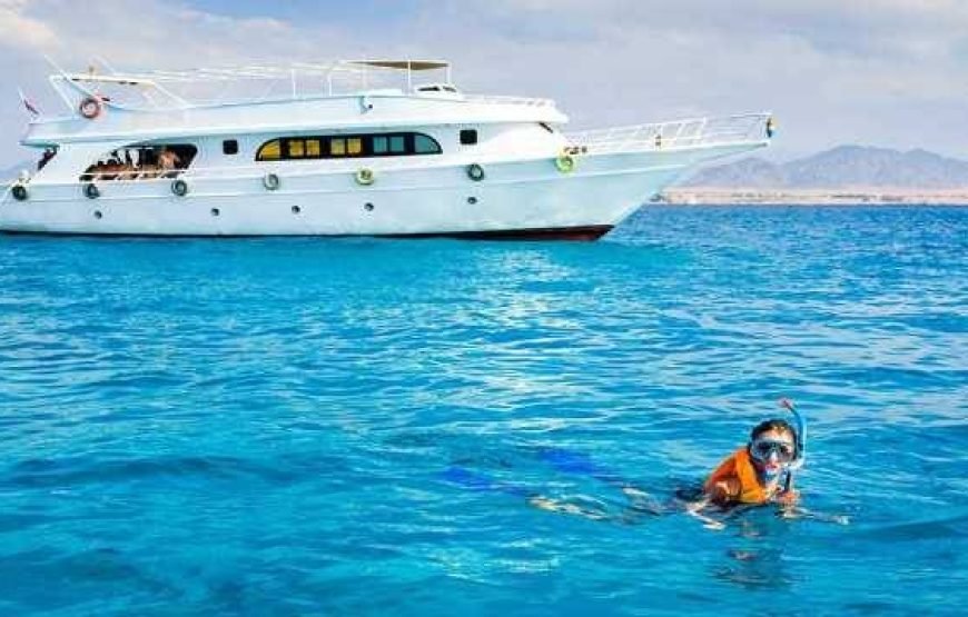 Gita in barca e isola bianca