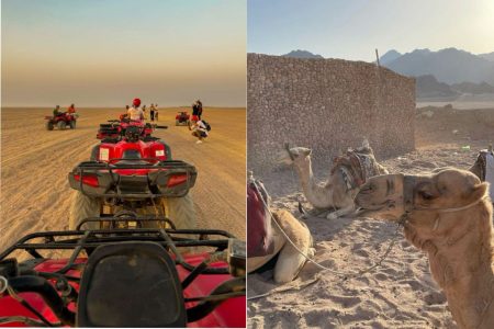 Safari ( Motorata + Cammelli )