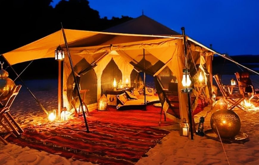 Cena Beduina nel Deserto con Spettacolo e Osservazione delle Stelle (Bedouin Dinner & Star Gazing)