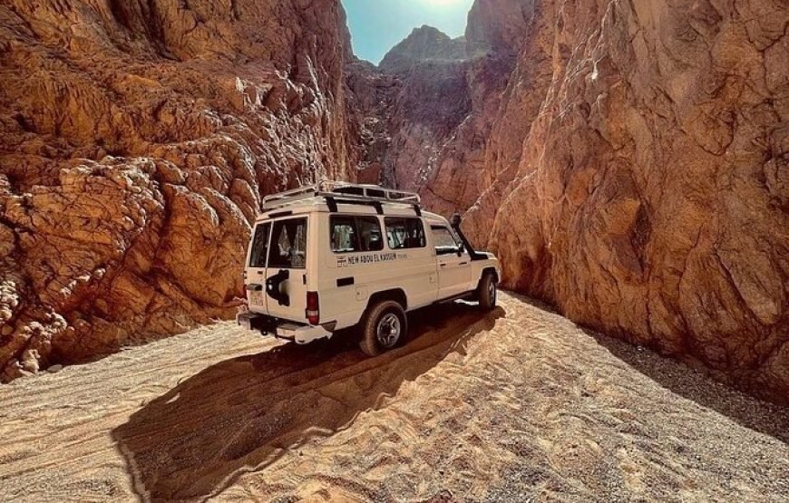 Mini safari in jeep 4×4