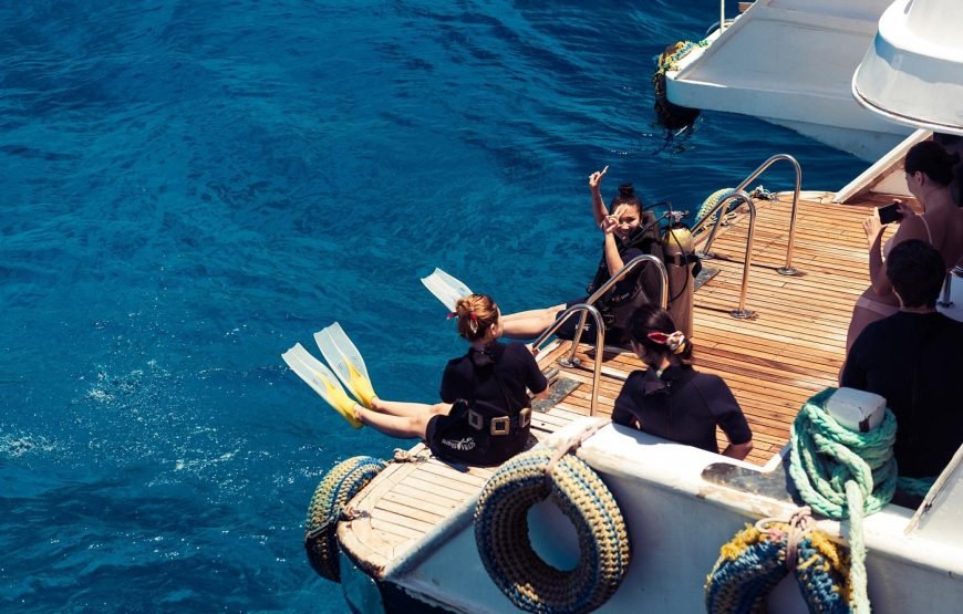 Escursione in Barca all’Isola Che Non C’è (White Island) e Parco Naturale di Ras Mohamed