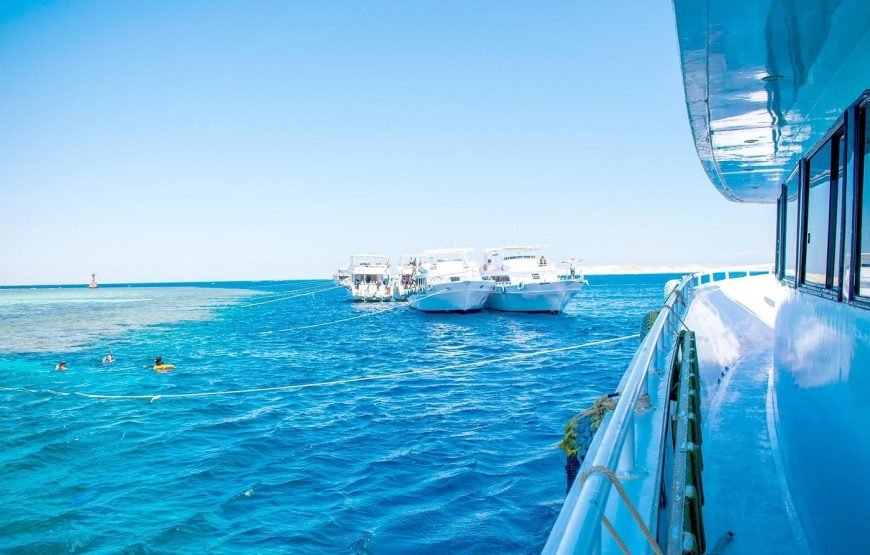 Escursione in Barca all’Isola Che Non C’è (White Island) e Parco Naturale di Ras Mohamed