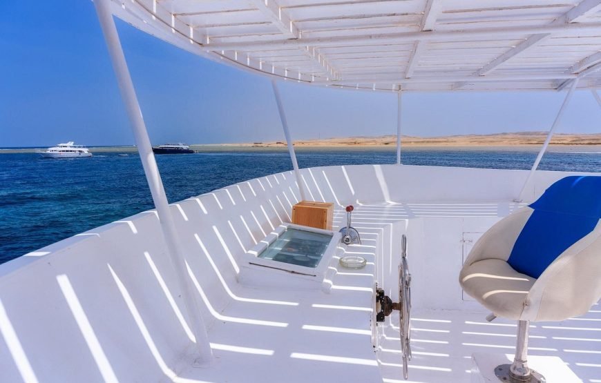Escursione in Barca all’Isola Che Non C’è (White Island) e Parco Naturale di Ras Mohamed