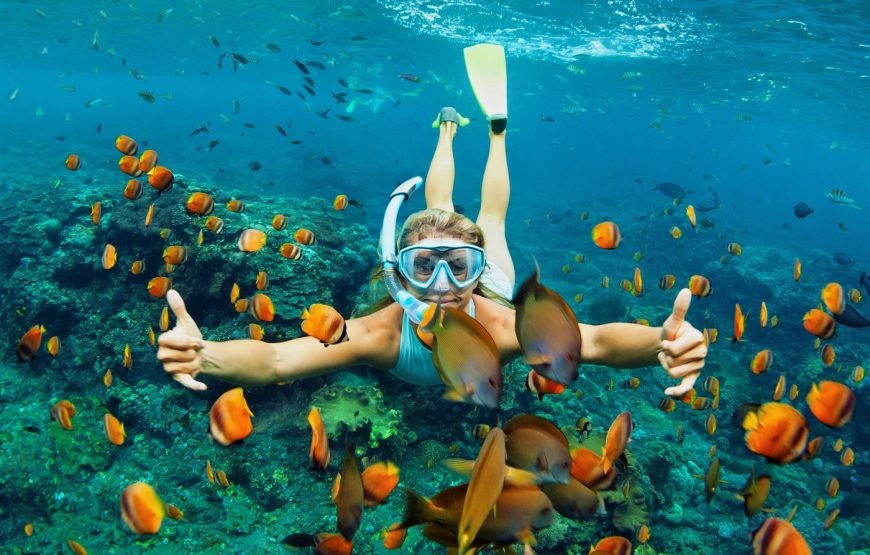 Escursione in Barca all’Isola Che Non C’è (White Island) e Parco Naturale di Ras Mohamed