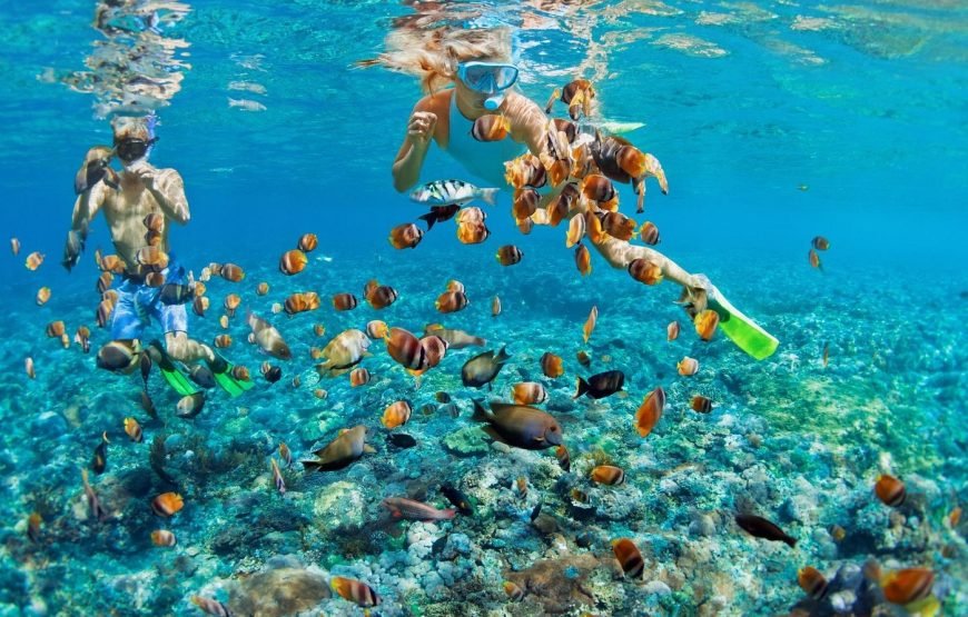 Escursione in Barca all’Isola Che Non C’è (White Island) e Parco Naturale di Ras Mohamed