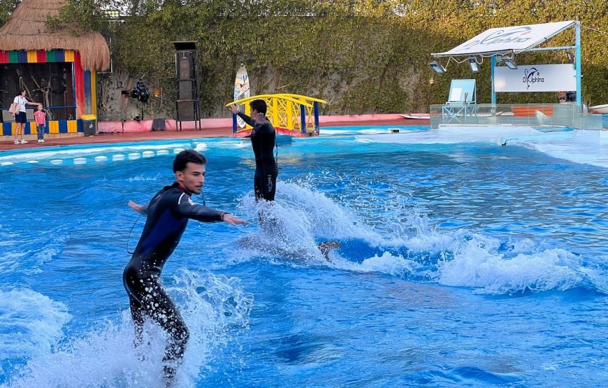 Spettacolo dei Delfini a Sharm el-Sheikh (Dolphin Show)