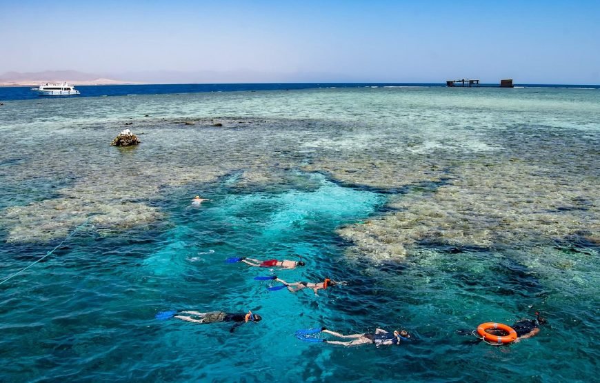 Escursione in Barca all’Isola Che Non C’è (White Island) e Parco Naturale di Ras Mohamed