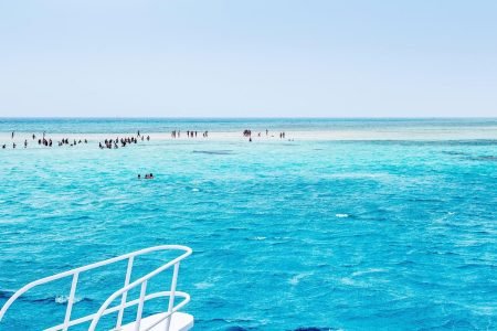 Escursione in Barca all’Isola Che Non C’è (White Island) e Parco Naturale di Ras Mohamed