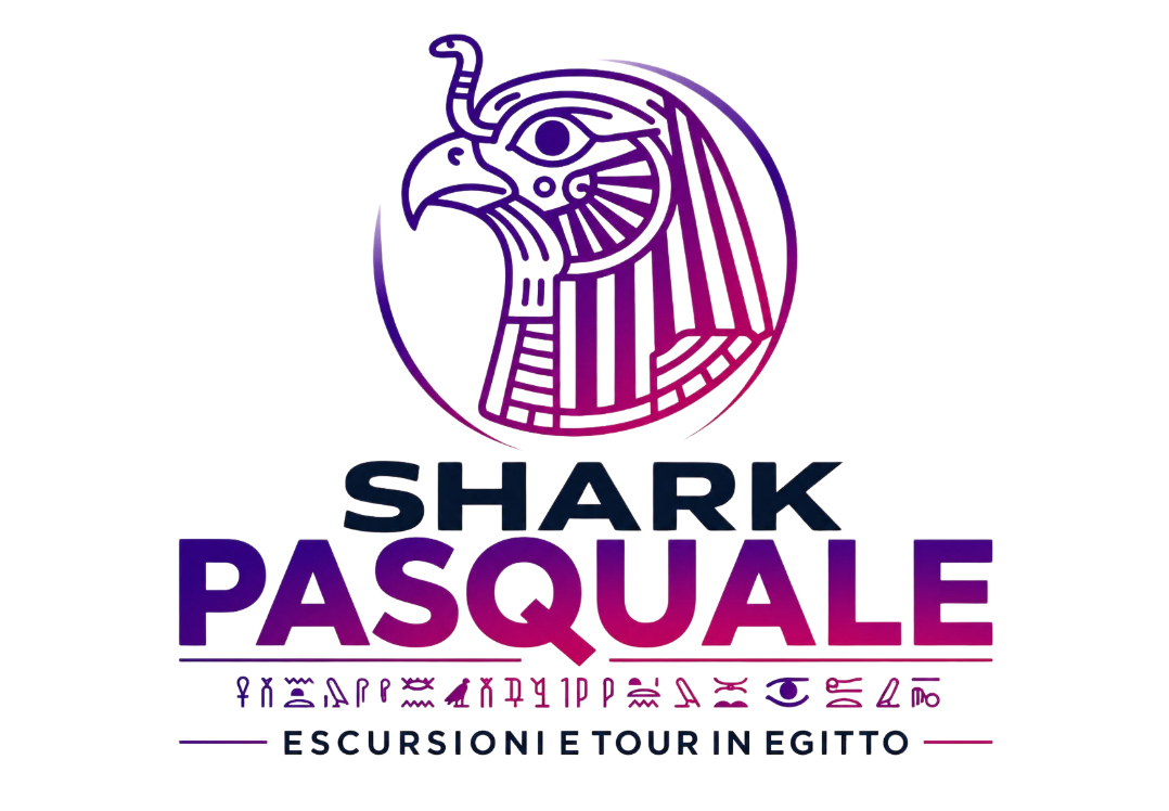 sharkpasquale