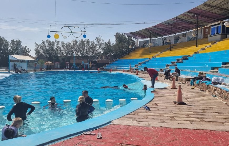 Spettacolo dei Delfini a Sharm el-Sheikh (Dolphin Show)
