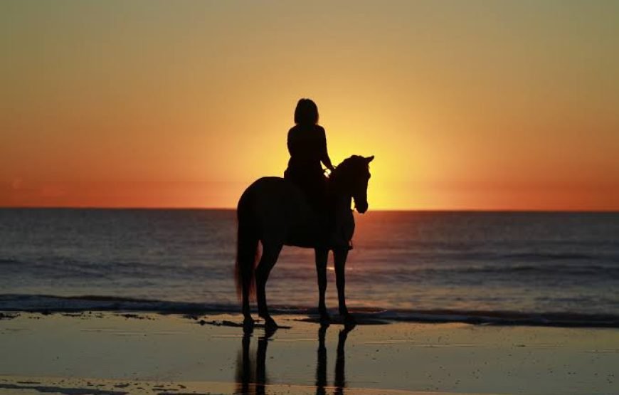 Esperienza di equitazione sulla spiaggia