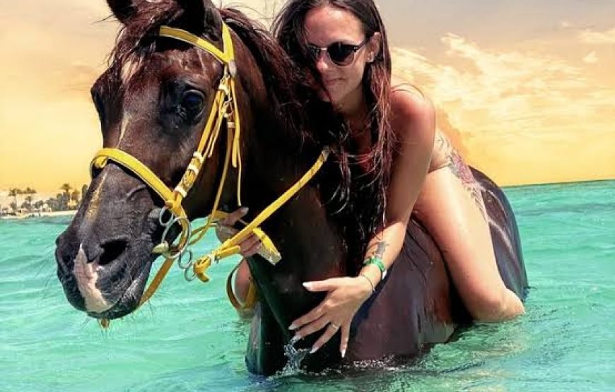 Esperienza di equitazione sulla spiaggia