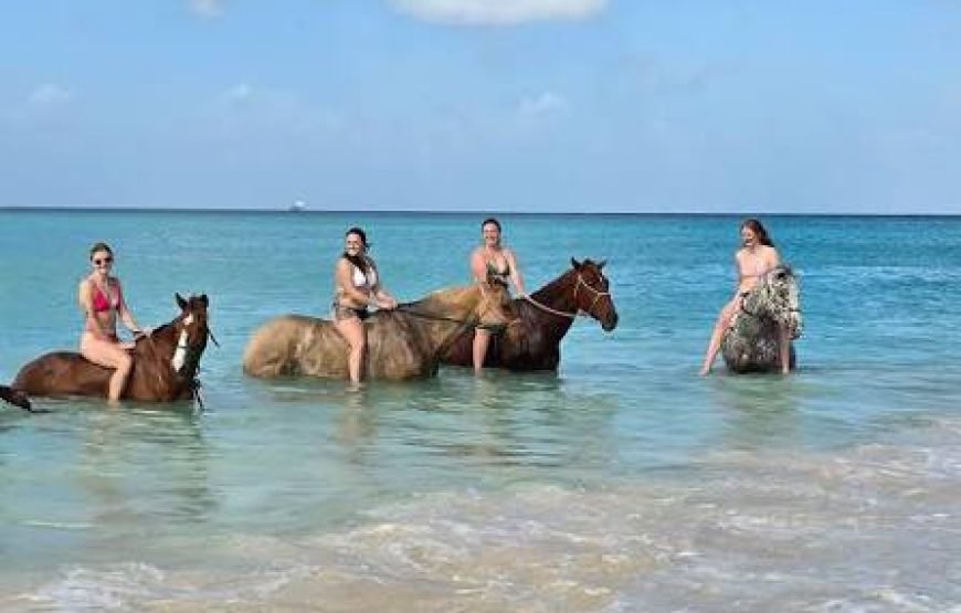 Esperienza di equitazione sulla spiaggia