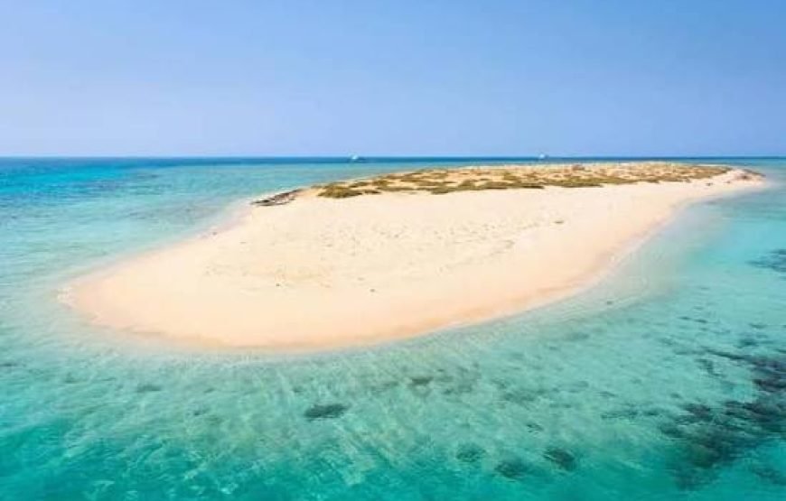 Gita in barca e isola bianca