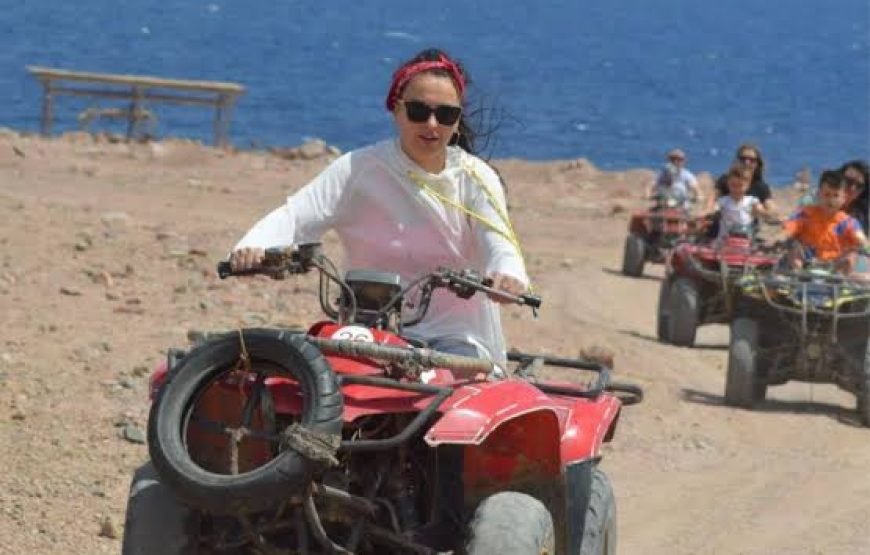Pacchetto 4 in 1: Il Meglio di Sharm El Sheikh (Deserto, Mare, Barca e Città)