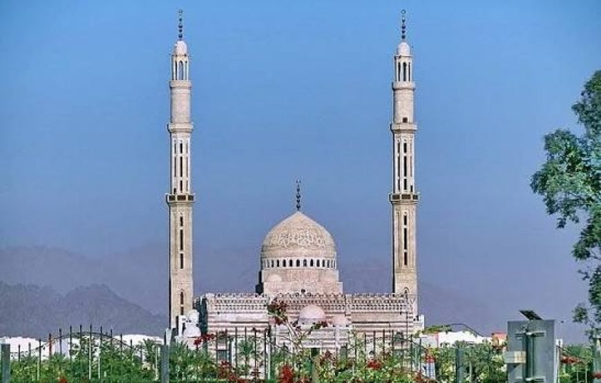 Tour della città con visita alla moschea Al Mustafa