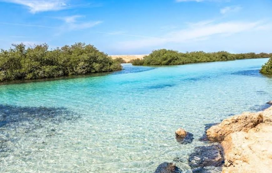 Escursione Terrestre al Parco Nazionale di Ras Mohamed (Mezza Giornata)