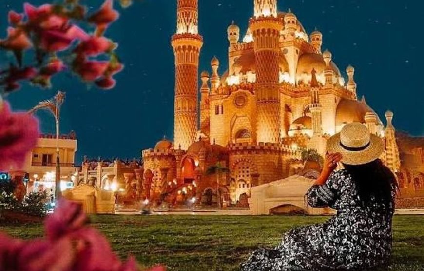 Tour della città con visita alla moschea Al Mustafa