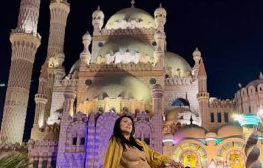 Tour della città con visita alla moschea Al Mustafa