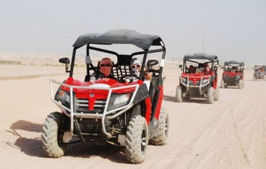 Mini safari in jeep 4×4