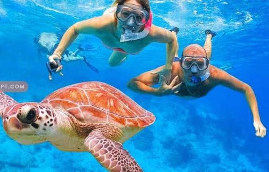 Pacchetto Combo: Parasailing + Banana Boat a Sharm El Sheikh
