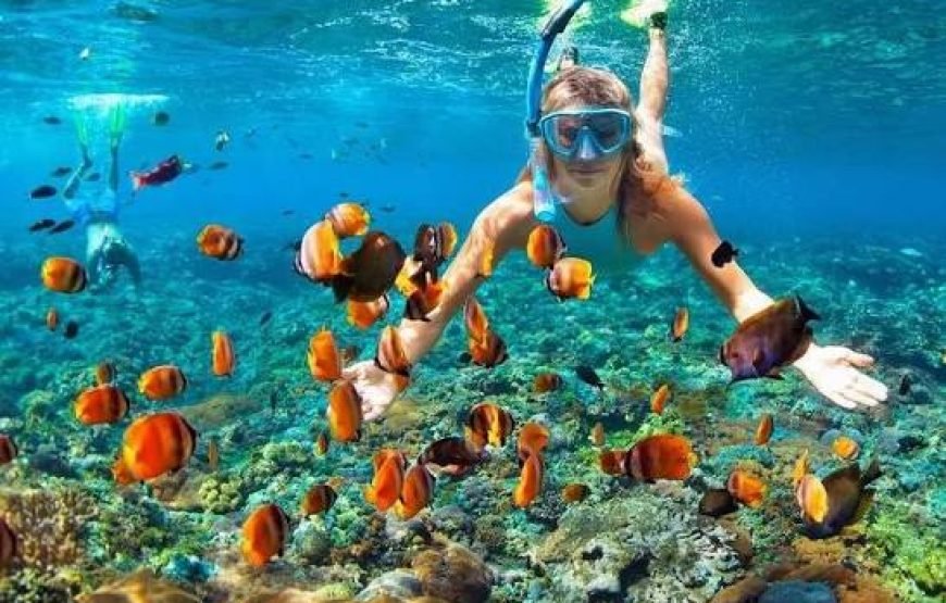 Pacchetto Combo 3 in 1: Deserto, Mare e Città a Sharm El Sheikh