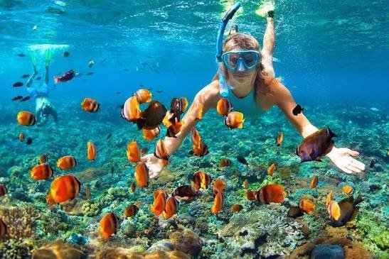 Escursione di snorkeling a Sharm Elsheikh
