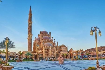 Tour della città con visita alla moschea Al Mustafa