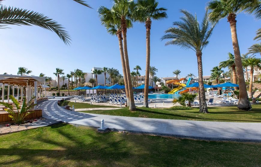 Tour di Naama Bay e Shopping a Sharm el-Sheikh