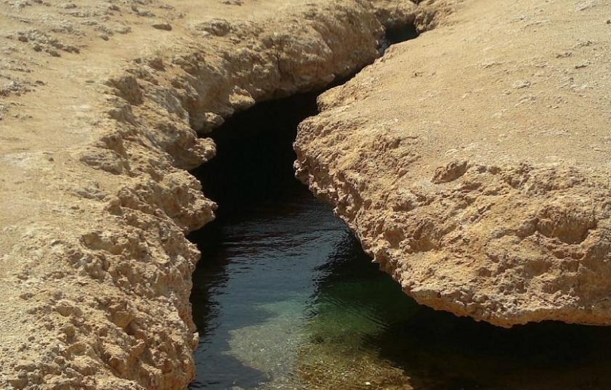 Escursione Terrestre al Parco Nazionale di Ras Mohamed (Mezza Giornata)