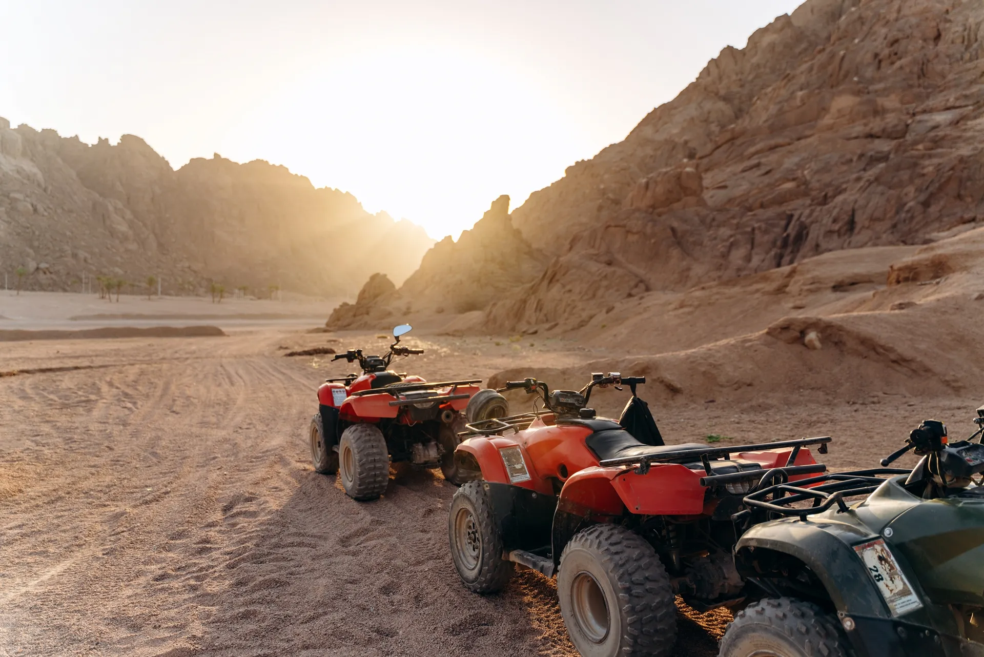 Avventura in Moto Quaddromoto (Quad) nel Deserto all’Alba (Sunrise Quad Safari)