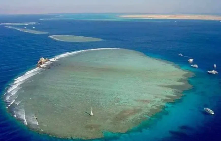 Gita in barca e isola bianca